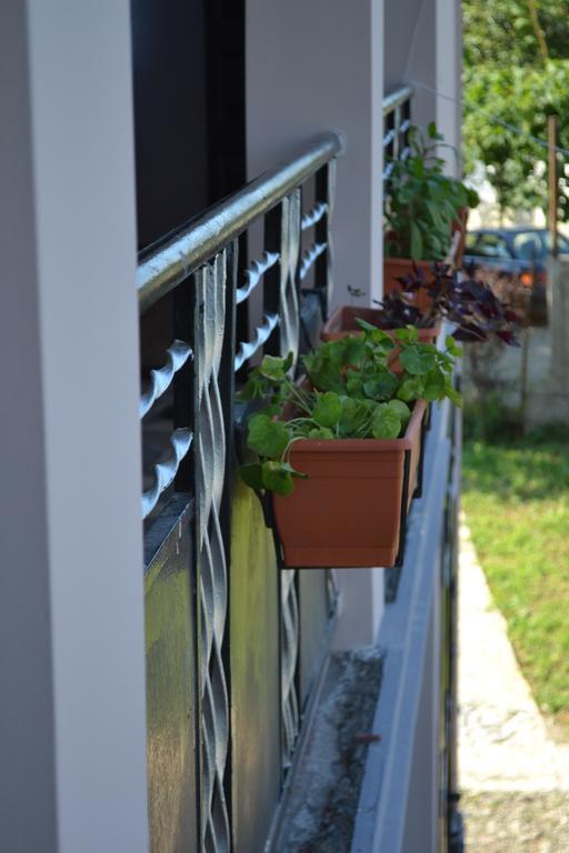 Shalva Apartment Chakvi Exteriér fotografie